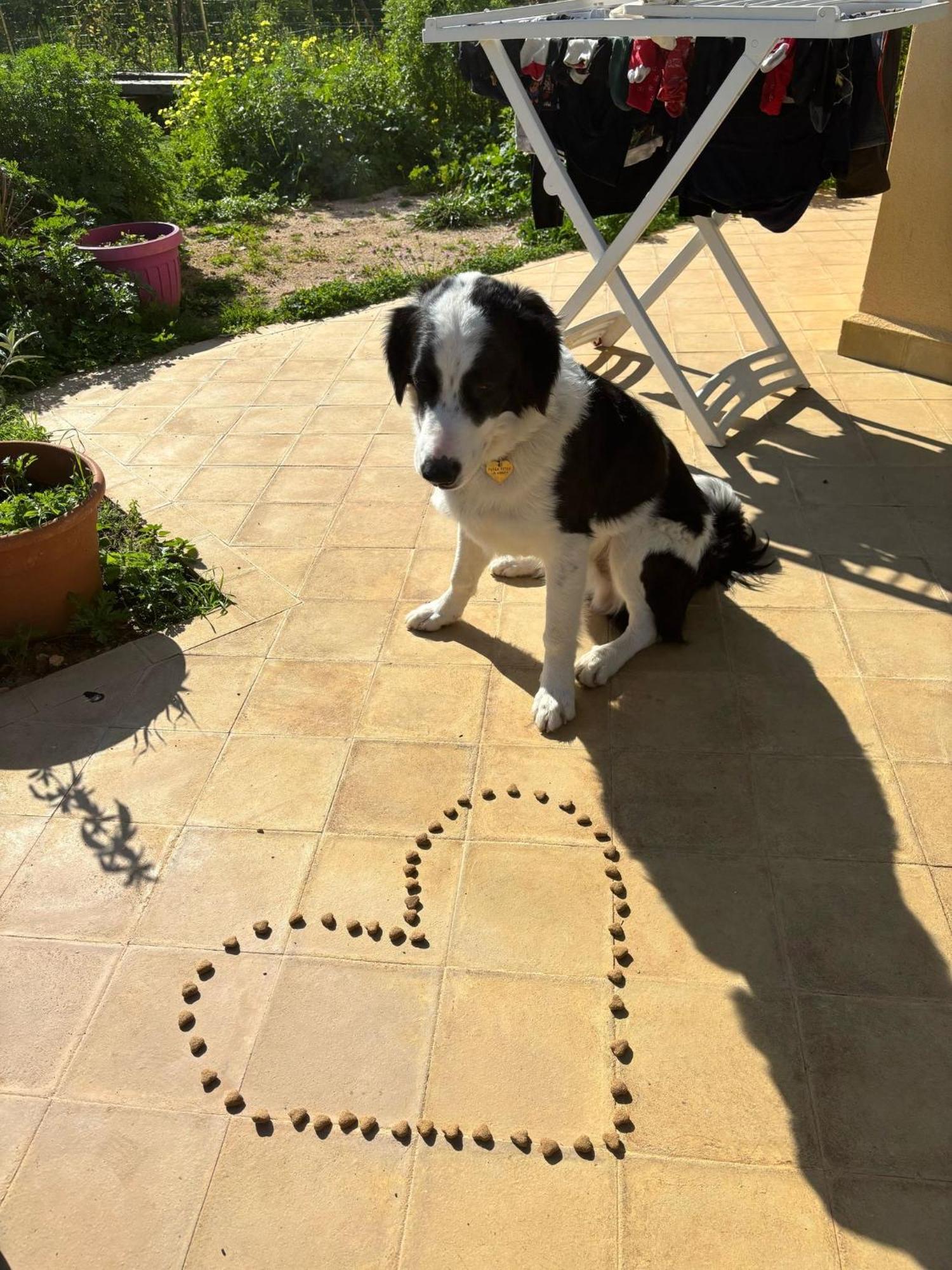 Esmaraldas House Of Love Terrasini Dış mekan fotoğraf
